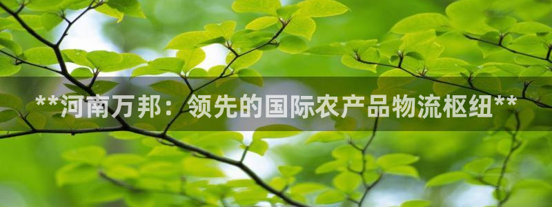 28圈比特28真实吗：**河南万邦：