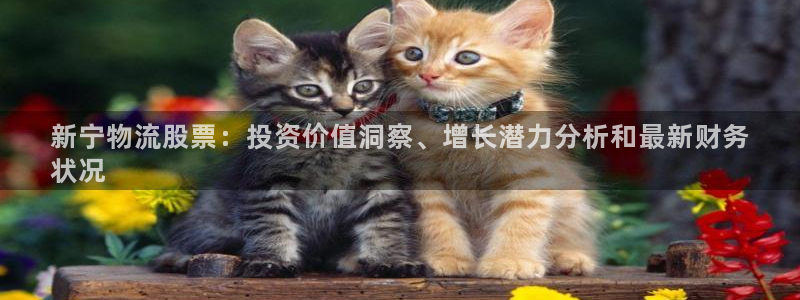 28圈：新宁物流股票：投资价值洞察、