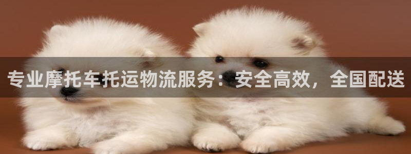 28圈注册登录流程：专业摩托车托运物