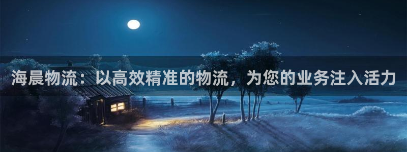 28圈注册教程：海晨物流：以高效精准