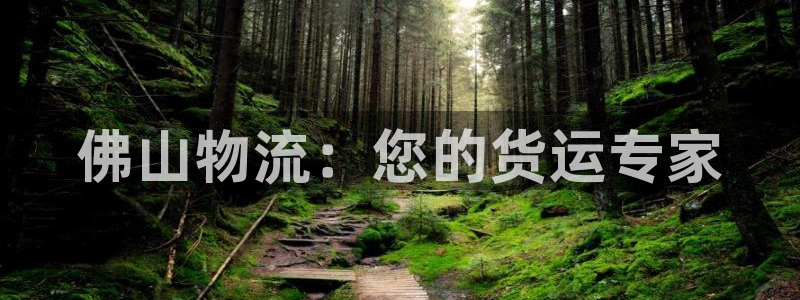 28圈昵称