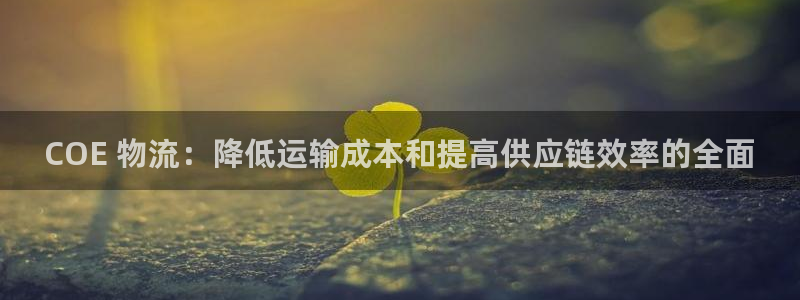 28圈加拿大技巧：COE 物流：降低