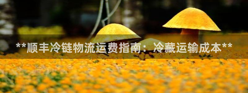 28圈注册与教程：**顺丰冷链物流运