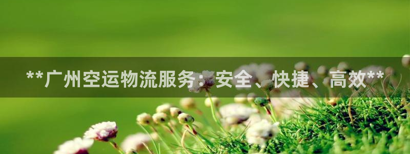 28圈圈