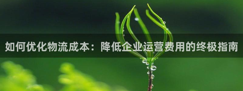 28圈模拟器下载：如何优化物流成本：