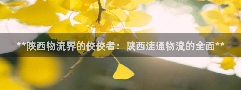 28圈预测：**陕西物流界的佼佼者：