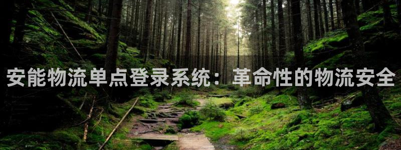 28圈官方网站：安能物流单点登录系统
