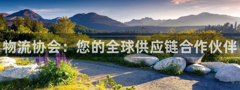 28圈链接多少：物流协会：您的全球供