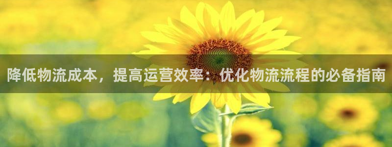 28圈注册网站链接怎么弄：降低物流成