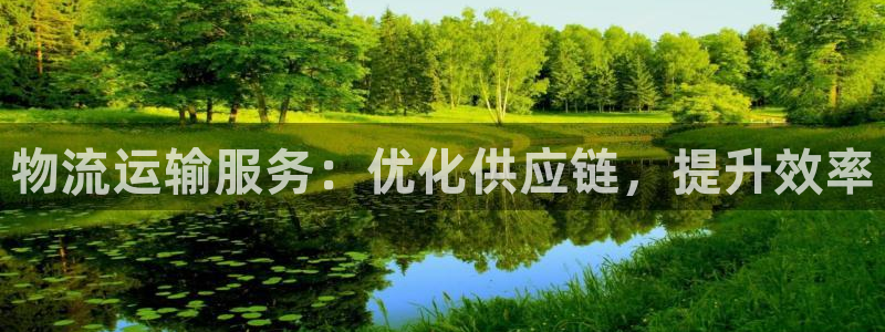 28圈h5链接：物流运输服务：优化供