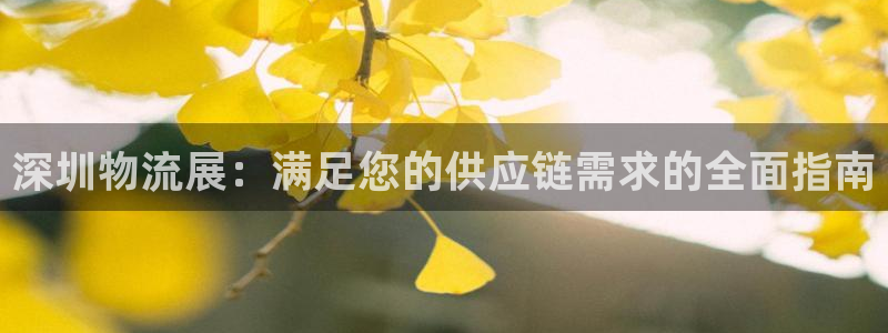 28圈辅助：深圳物流展：满足您的供应