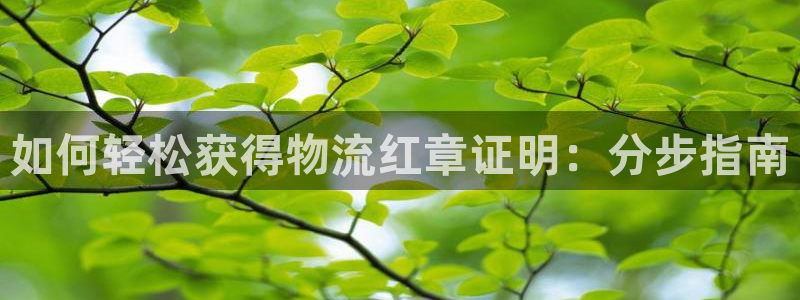 28圈充值方式：如何轻松获得物流红章