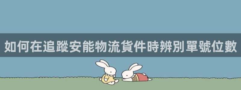 28圈登录：如何在追蹤安能物流貨件時