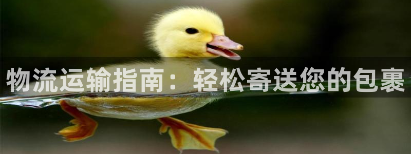 28圈注册：物流运输指南：轻松寄送您