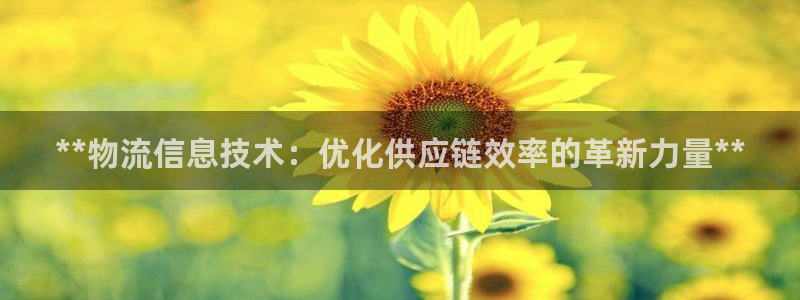 28圈官方网站预测