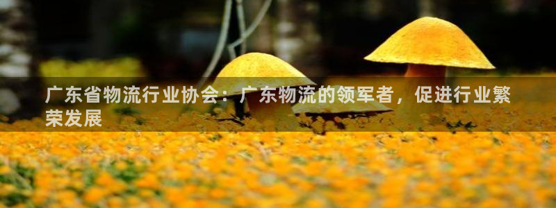 28圈注册网站多少钱一个：广东省物流