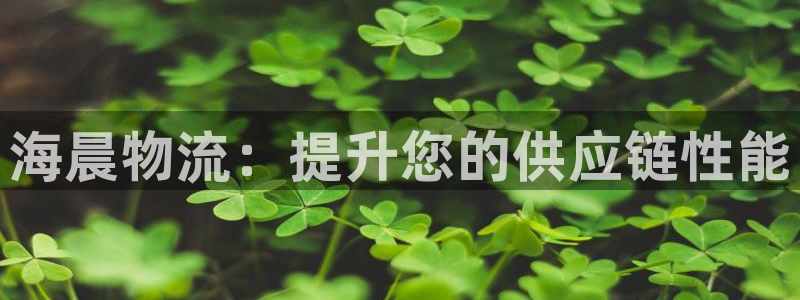 加拿大28圈注册链接：海晨物流：提升