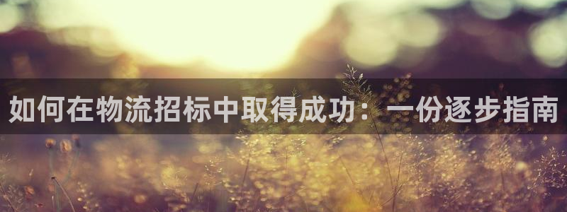 28圈代理落网：如何在物流招标中取得