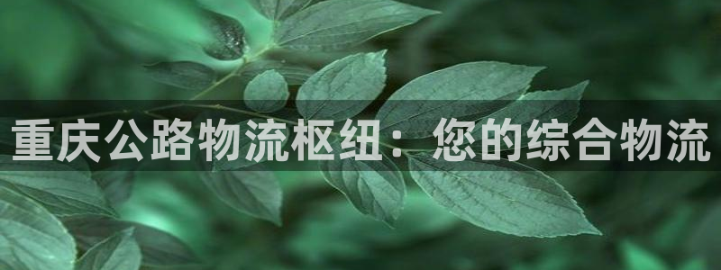28圈提款一直没到