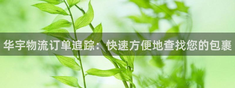 28圈.ccmpc正版