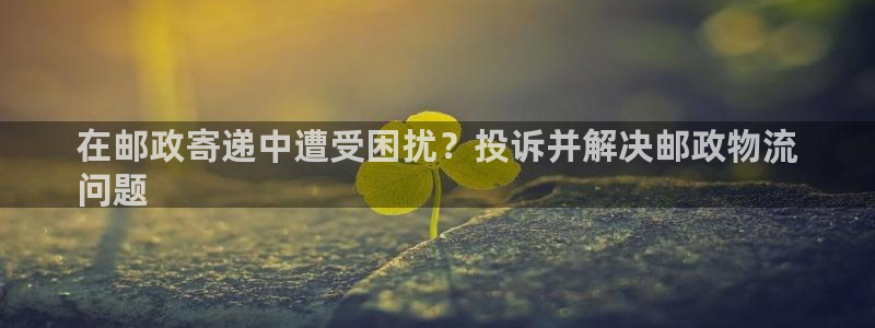 28圈提现不到账