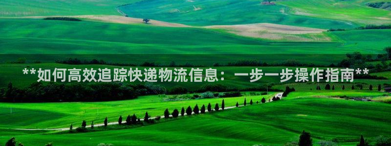 28圈初始资金密码是什么