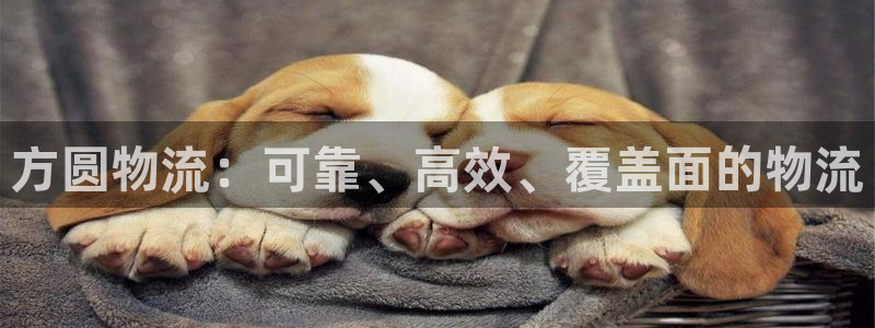 加拿大28圈注册链接：方圆物流：可靠
