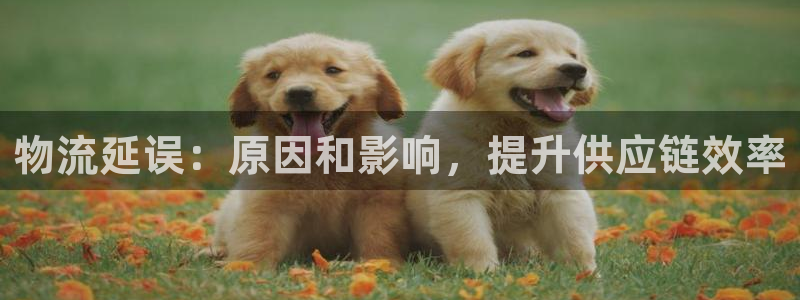 28圈能提现吗