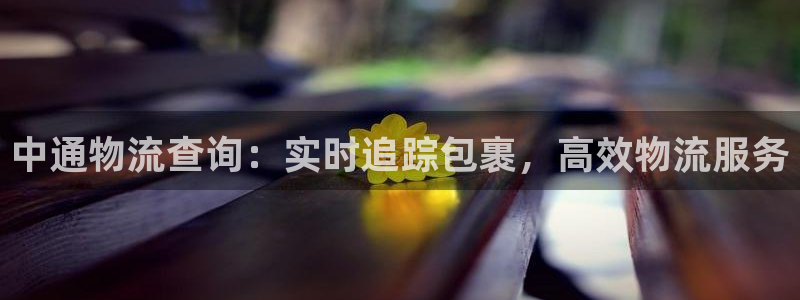 28圈登录流程：中通物流查询：实时追