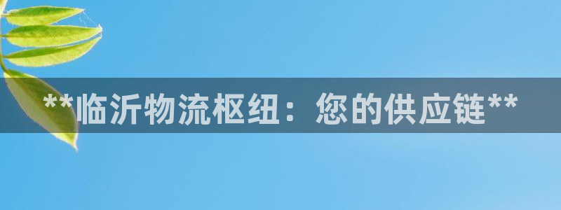 28圈加拿大是什么意思