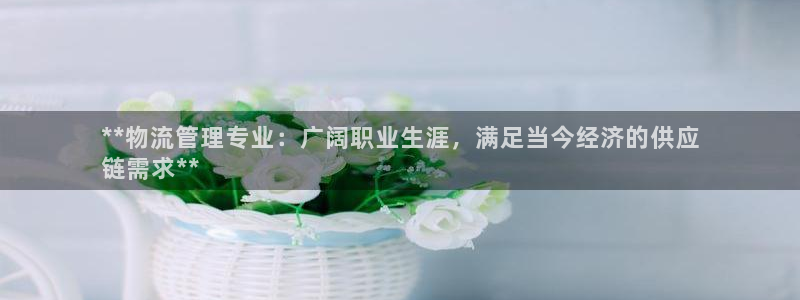 28圈注册条件：**物流管理专业：广