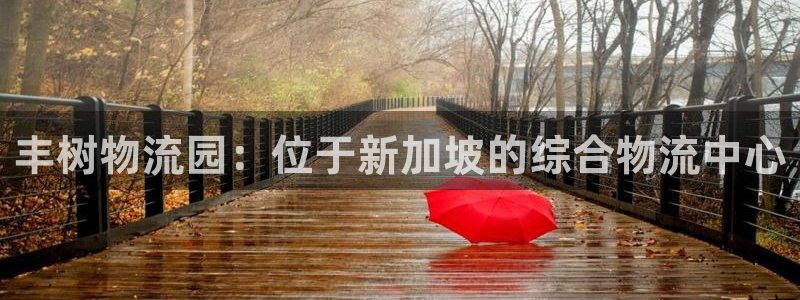 28圈系统自动保护