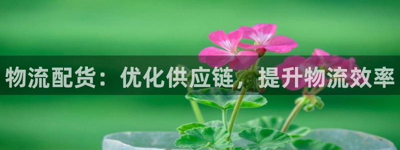 28圈p扣除是什么意思：物流配货：优