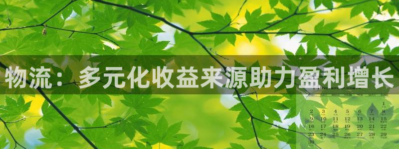 28圈充值金额随便：物流：多元化收益