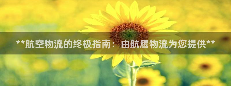 28圈娱乐官网网页入口：**航空物流