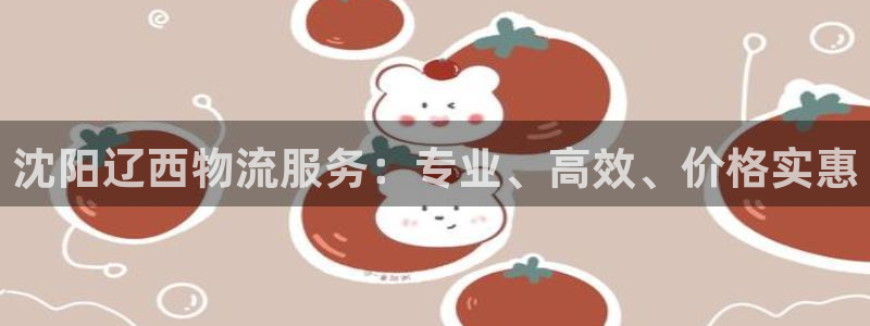 28圈注册网站谁有：沈阳辽西物流服务