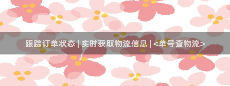 28圈加拿大pc预测：跟踪订单状态 