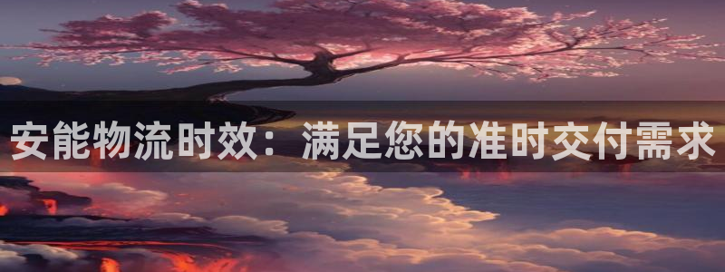 28圈大神预测