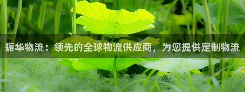 28圈官网网站