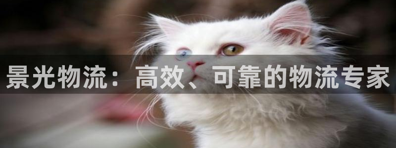 28圈加拿大app预测：景光物流：高