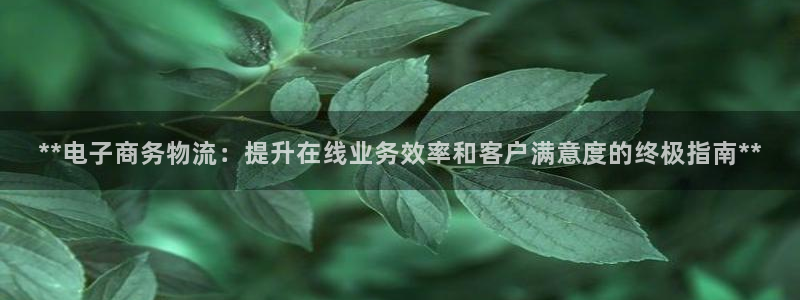 28圈链接多少：**电子商务物流：提