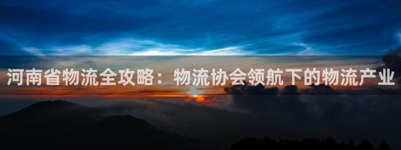 28圈电子游戏：河南省物流全攻略：物流协会领航下的物流产业