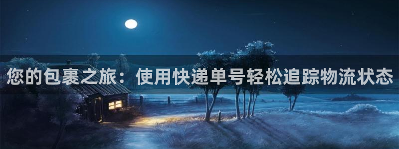 28圈电子：您的包裹之旅：使用快递单