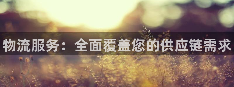 28圈官网网站：物流服务：全面覆盖您