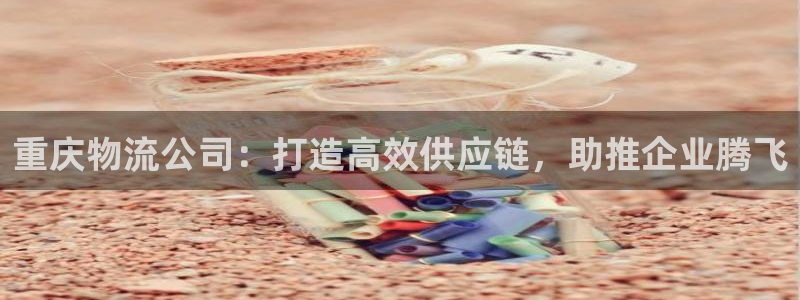 28圈分分28输了能不能退：重庆物流