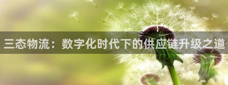 28圈违法吗：三态物流：数字化时代下
