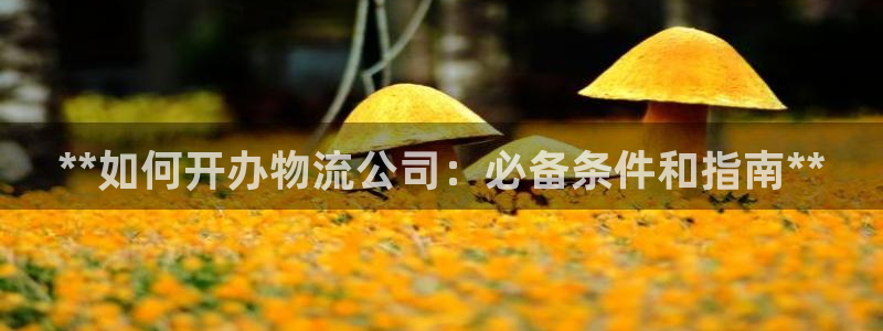 28圈加拿大2.8预测在线预测：**