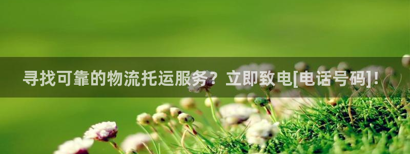 28圈是正规平台吗：寻找可靠的物流托