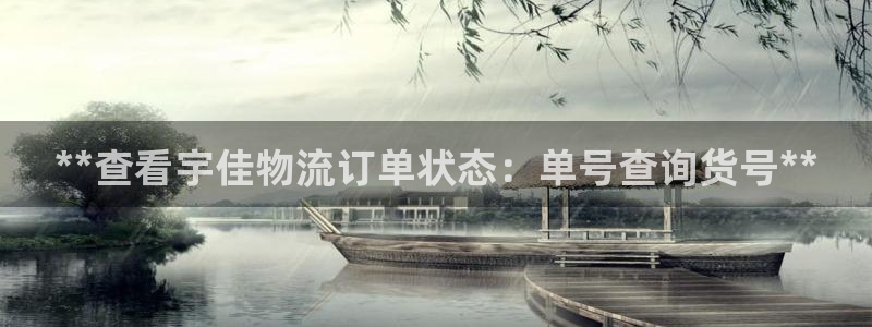 28圈可靠吗：**查看宇佳物流订单状