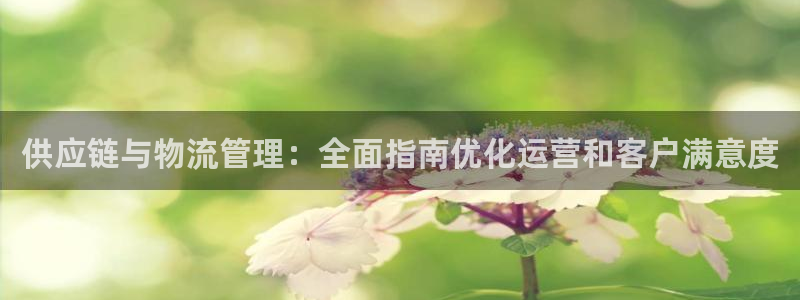 28圈怎么申请代理：供应链与物流管理
